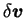 $ \delta \boldsymbol v$