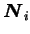 $ \boldsymbol N _i$