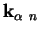 $ \mathbf{k}_{\alpha  n}$