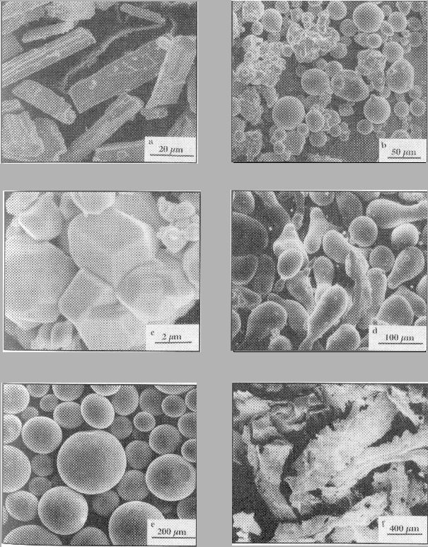 \includegraphics[]{micrographie1.eps}