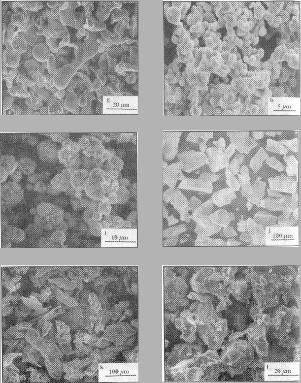 \includegraphics[]{micrographie2.eps}